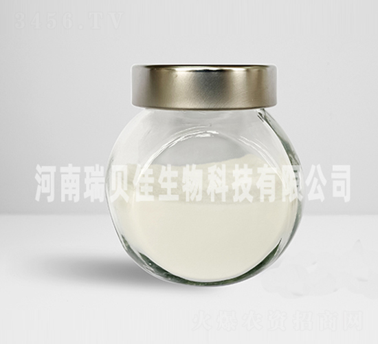 �����������\-��ؐ������