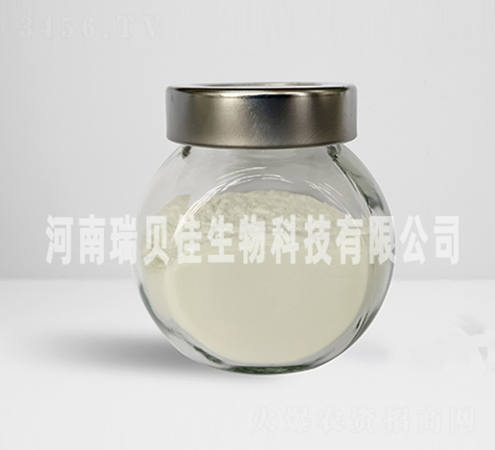 �����������-��ؐ������