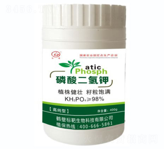 ��������-�˰�����