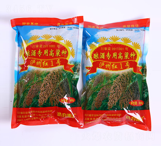 �o�ݼt1̖-�����N��-������