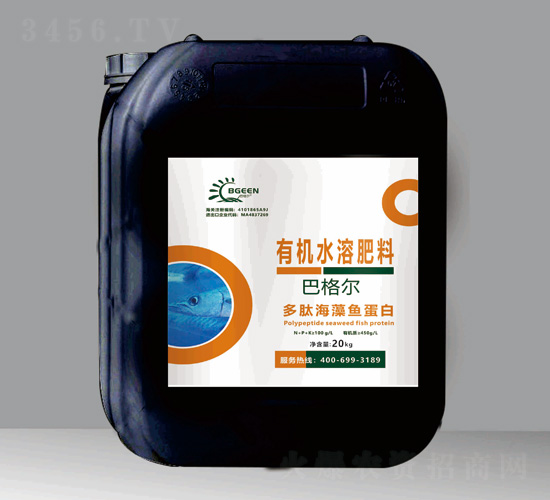 ���ĺ����~����-�͸�