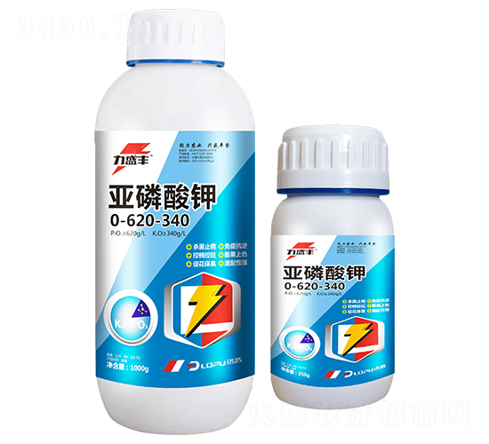 �������-��ʢ�S-�����r(n��ng)�I(y��)