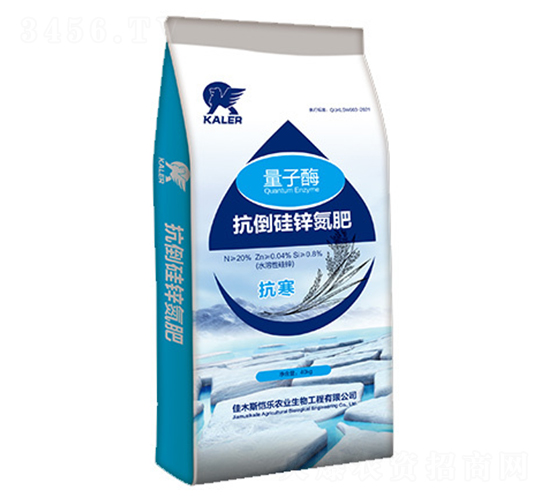 �������\����-����ø-���r(n��ng)�I(y��)