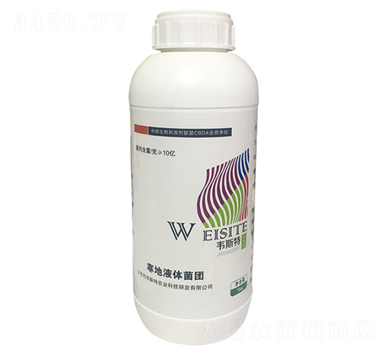 ����Һ�w���F(tu��n)-�f˹��-���r(n��ng)�I(y��)