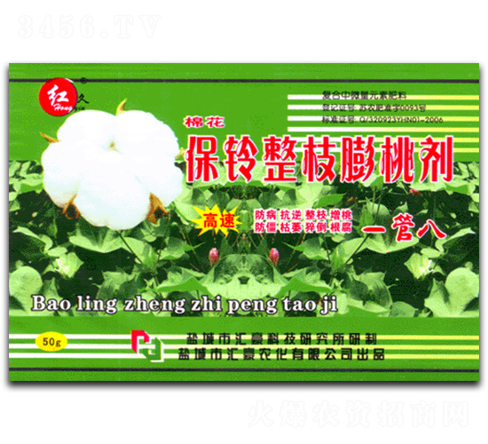 �����֦���҄�-�R���r(n��ng)��