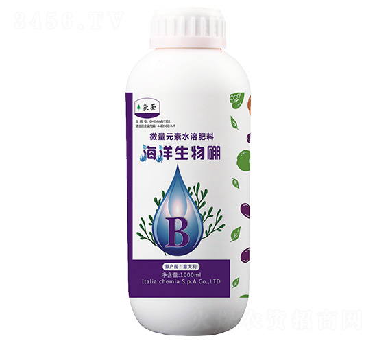 ����������-������-����}