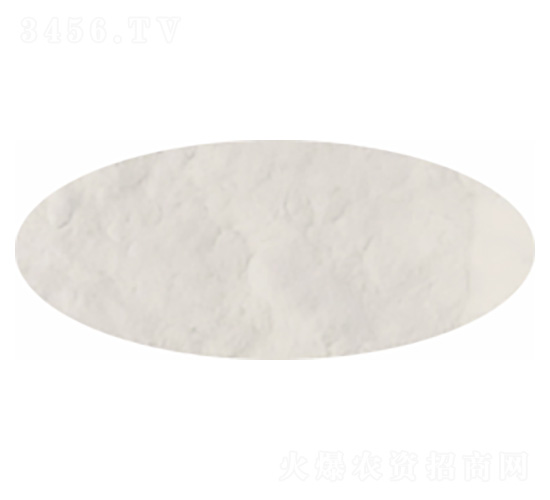 ����ķ�����-�P�����d