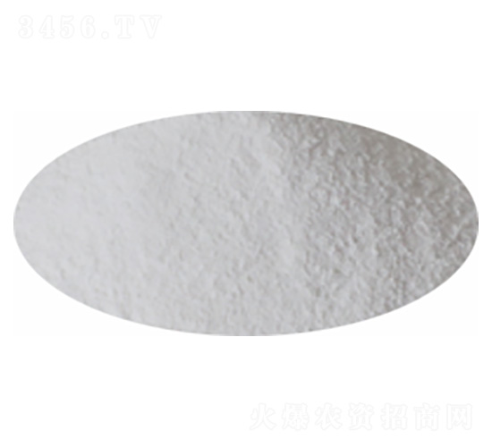 ����һ�@-�P�����d