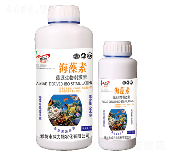 ������-����ʩ