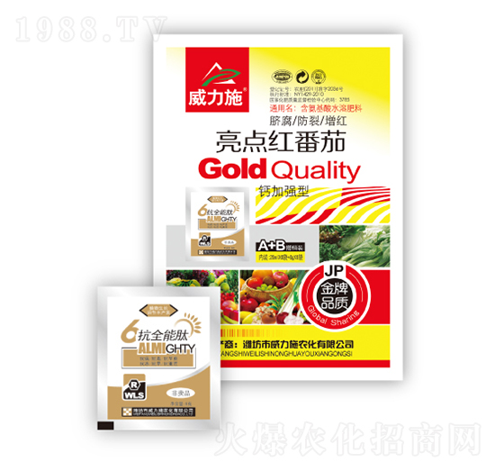 ���c�t����-����ʩ