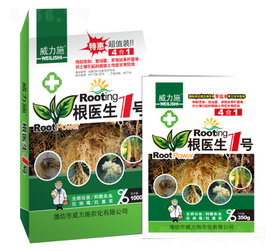 ���t(y��)��1̖-����ʩ