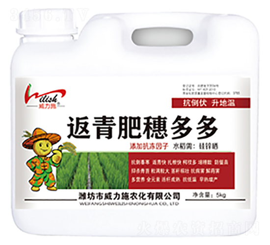 ���������-����ʩ