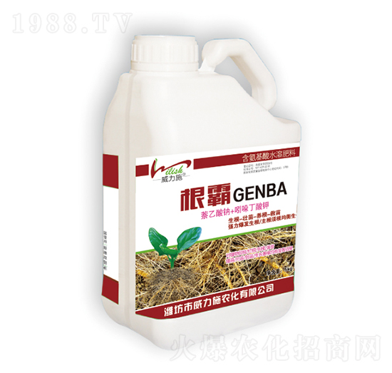 ����-����ʩ