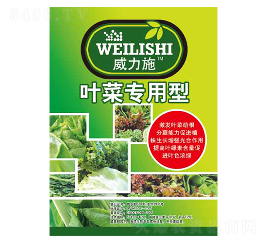 �~�ˌ�����-����ʩ