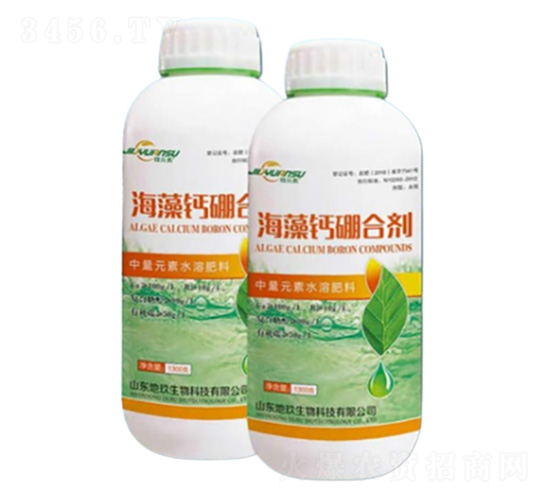 �����}��τ�-�ؾ�����