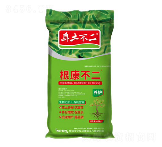 ��������-��������-��ľ������