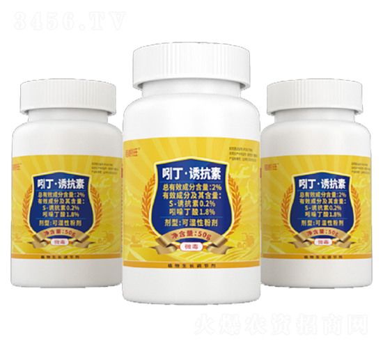 �Ŷ����T���ؿɝ��Էۄ�-�����-�����S