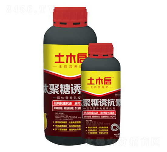 �ľ����T����-��ľ������