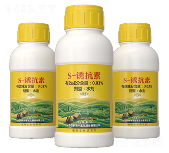 S-�T����-�����S