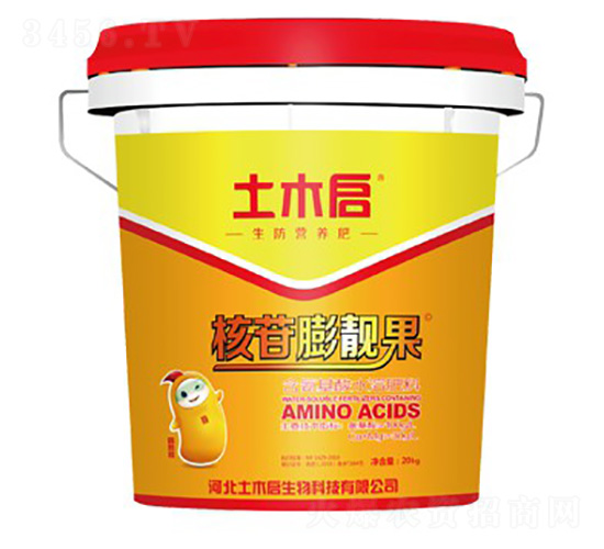 �������n��-��ľ������