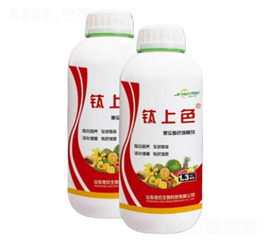 ���ɫ-�ؾ�����