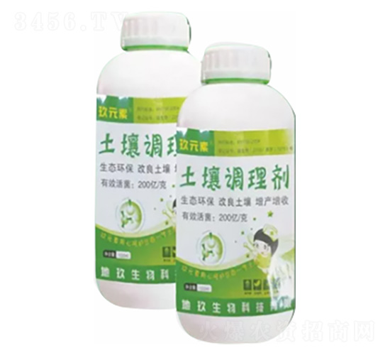 �����{�턩-�ؾ�����