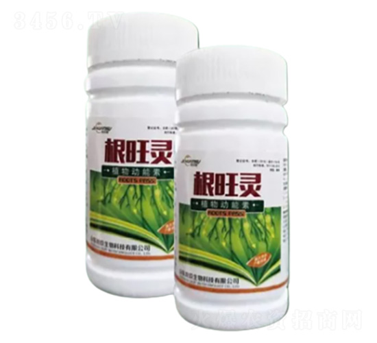 �����`-�ؾ�����