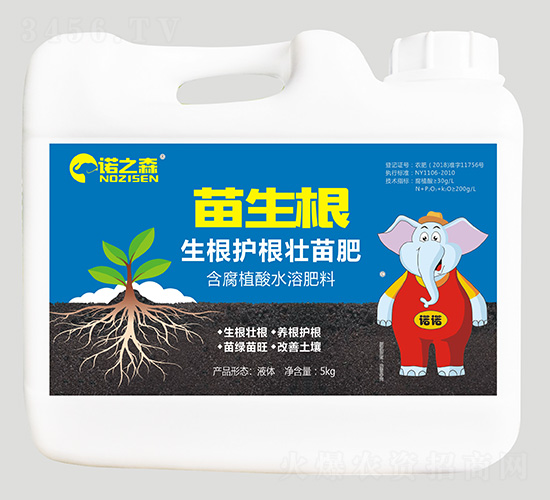 �����o�����-������-�Z֮ɭ