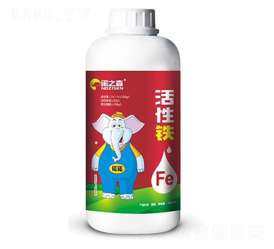 �����F-�Z֮ɭ