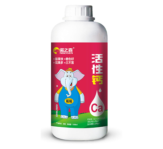 �����}-�Z֮ɭ