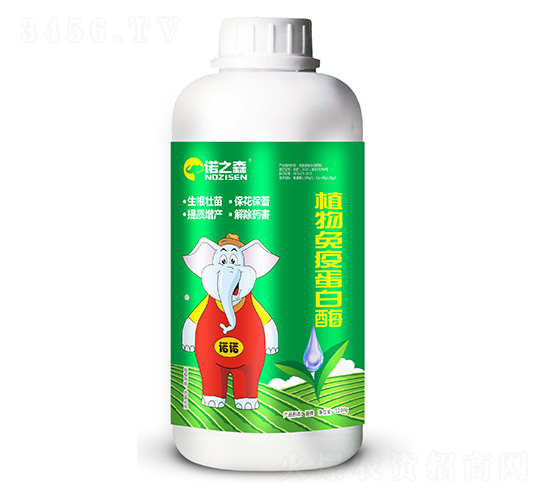 ֲ�����ߵ���ø-�Z֮ɭ