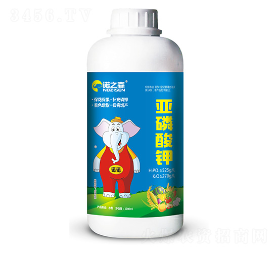 �������-�Z֮ɭ