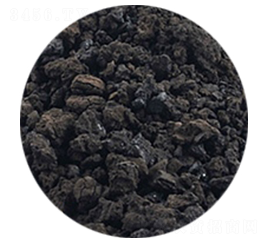 �S������w��-�𺣵|