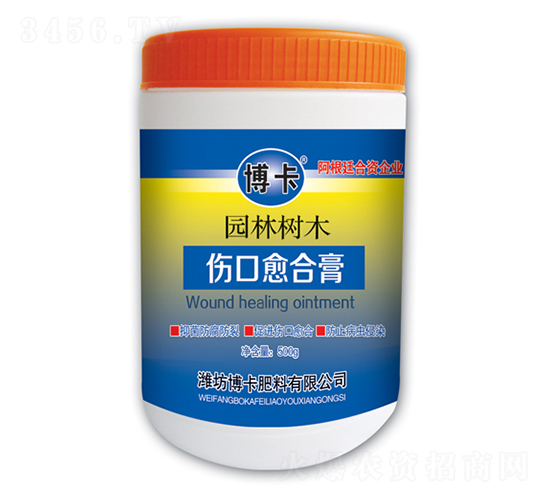 �@�֘�ľ�������ϸ�-����