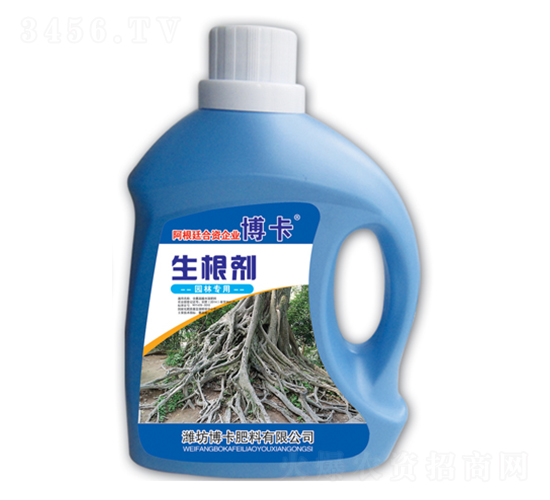 �@�֌���������-����