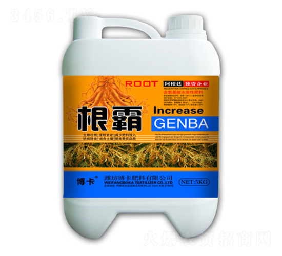 ����-����