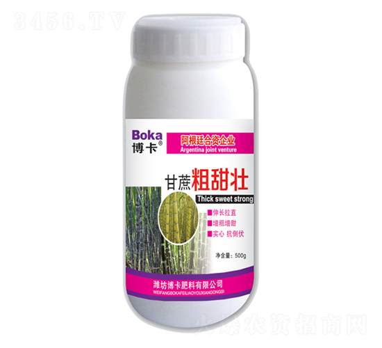 ���������-����