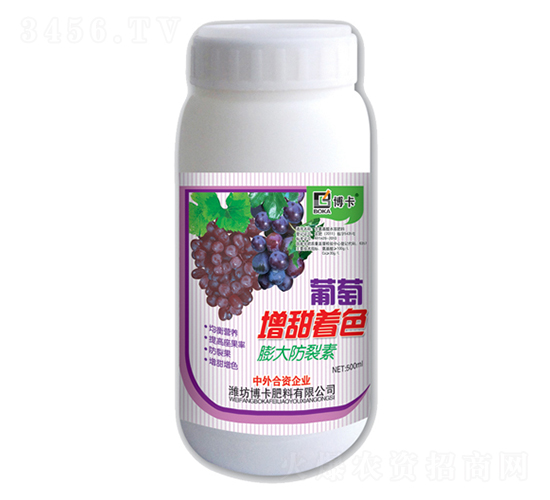 ����������ɫ��������-����