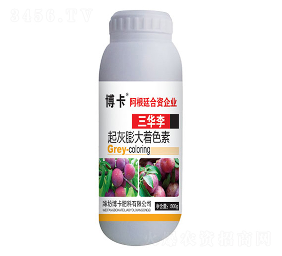 ���A����������ɫ��-����