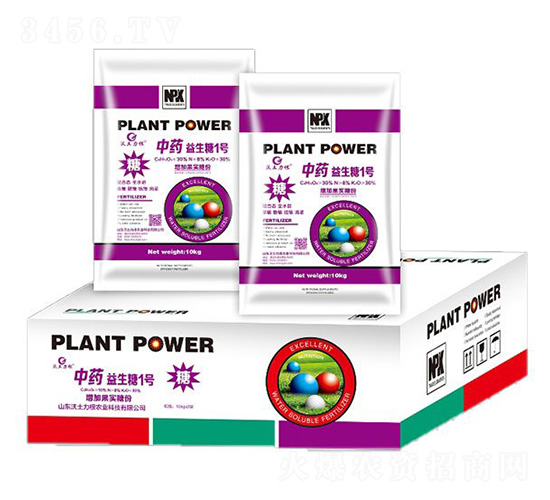 ��ˎ������1̖-�W�����F