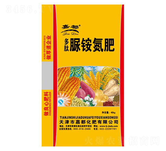 �����尷����-�ζ�