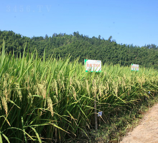 ȫ��(y��u)3301-ˮ���N��-���C�N�I(y��)