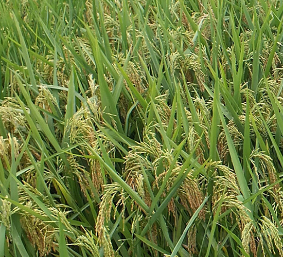 ����(y��u)212-ˮ���N��-ϣ���N�I(y��)