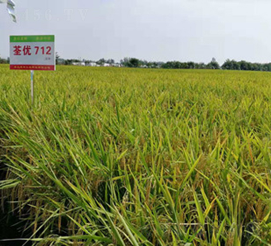 ����(y��u)712-ˮ���N��-���A���r(n��ng)