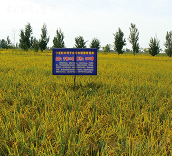 ����36̖-ˮ���N��-���S�N�I(y��)