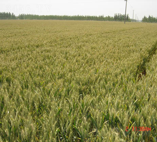 ����22-С���N��-�y�d�N�I(y��)