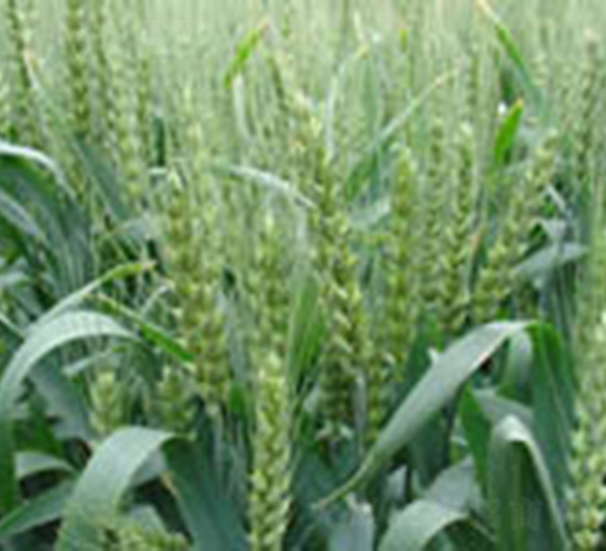 ��(j��)��19̖(h��o)-С���N��-�y�d�N�I(y��)