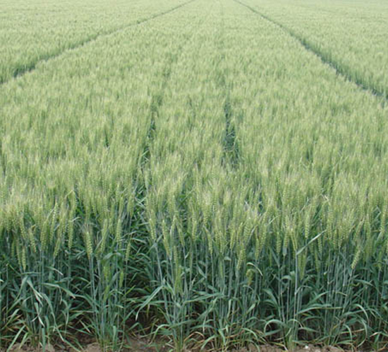 ɽ�r(n��ng)24̖(h��o)-С���N��-�y�d�N�I(y��)