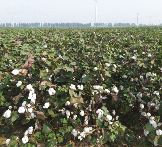 �y�d��16̖(h��o)-�޻��N��-�y�d�N�I(y��)