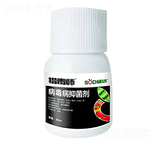 ���������Ƅ�-�T�_(d��)